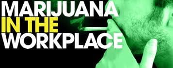 Video Blog: Medical Marijuana – Drug Free Workplace