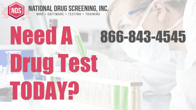Video Blog - Do You Need a Drug Test Today?