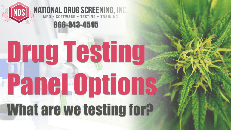 Drug Testing Panels