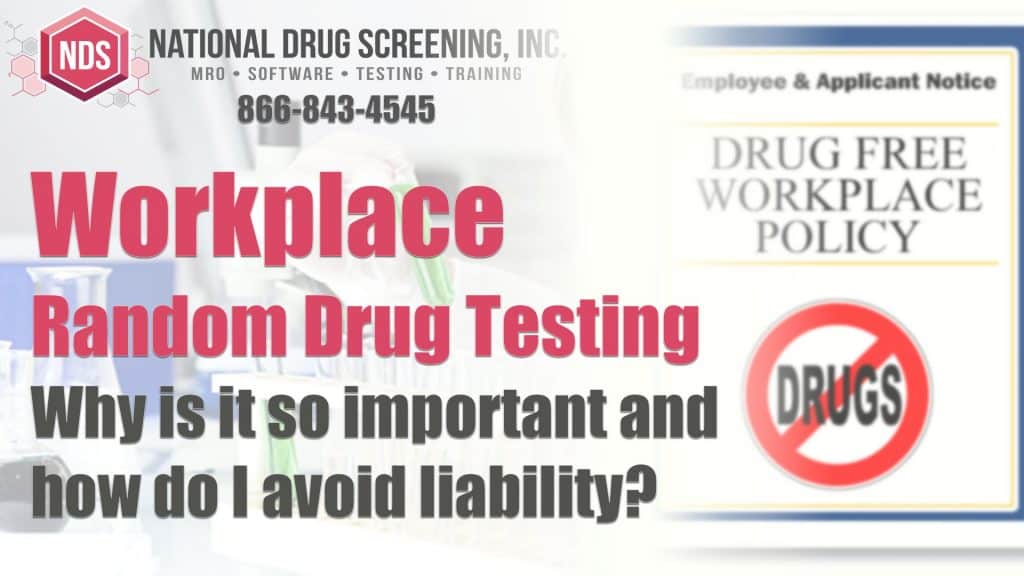 Video Blog - Benefits Of Random Drug Testing In The Workplace