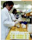 Laboratories for Workplace Drug Testing