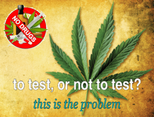 Video Blog - Dropping Marijuana from Your Drug Testing Program?