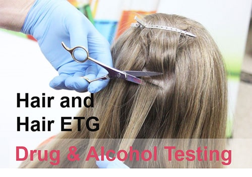 Video Blog: Hair Testing & ETG Alcohol Testing
