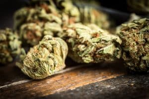 Drug Testing in Legal Marijuana States