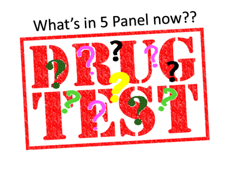 What is a 5 Panel DOT Like Drug Test?