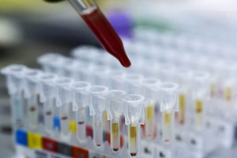 Top 10 Myths About Drug Tests
