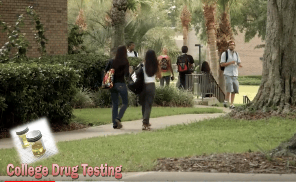 Video Blog: Drug Testing on College and University Campuses