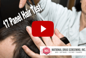 Video Blog: 17 Panel Hair Drug Test