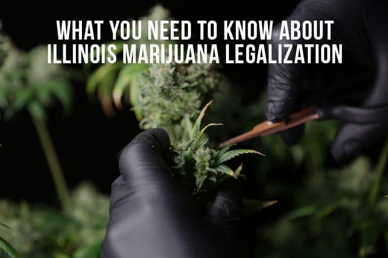 What You Need To Know About Illinois Marijuana Legalization