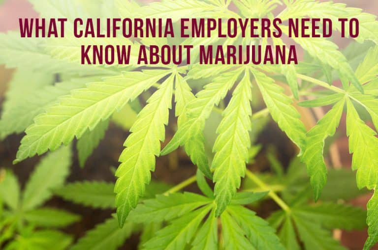 What California Employers Need To Know About Marijuana