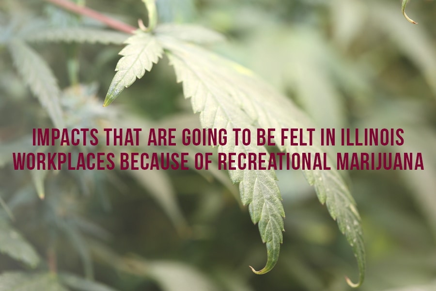 Impacts That Are Going To Be Felt In Illinois Workplaces Because Of Recreational Marijuana