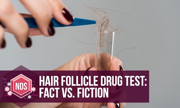 Hair Follicle Drug Test: Fact Vs. Fiction
