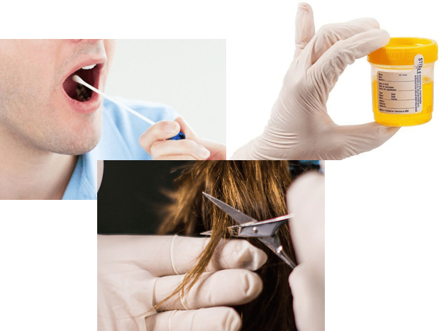hair drug testing, urine drug testing,oral fluid drug testing