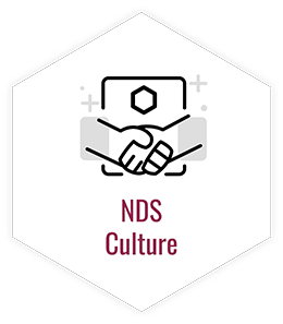 NDS Culture