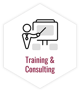 Training and Consulting