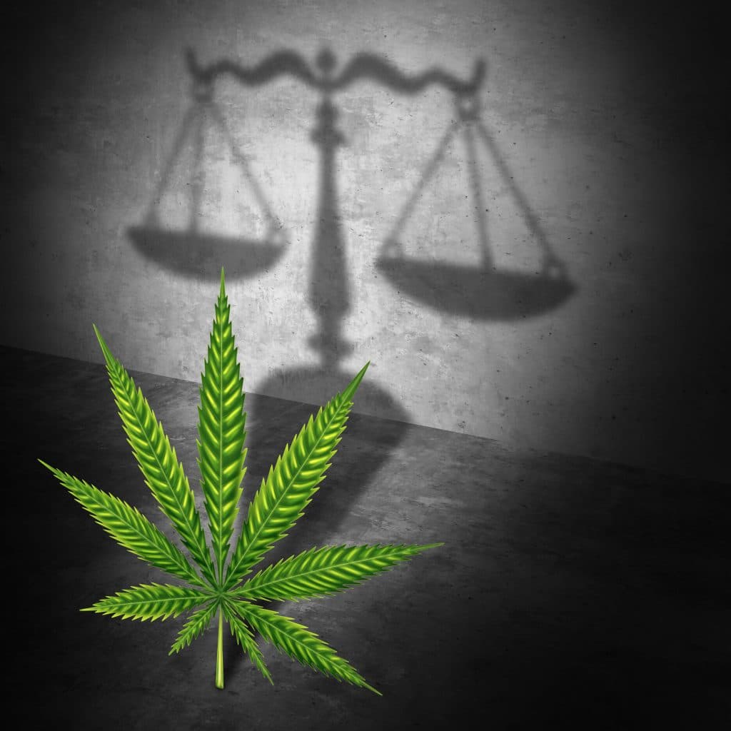 Marijuana with Scale of Justice Shadow