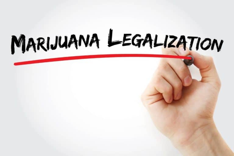 Marijuana legalization in the workplace