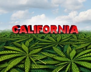 California New Marijuana Law
