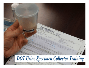DOT urine collector training